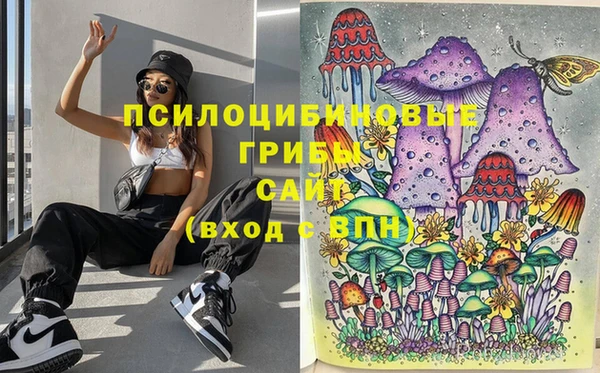 хмурый Балабаново