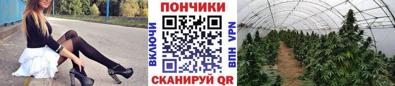 где купить Кунгур Марихуана LSD WEED